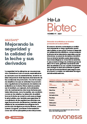 hlb-17-featimg