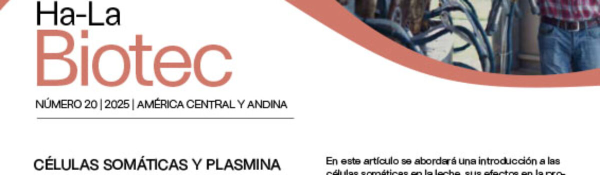 Edición 20 América Central y Andina